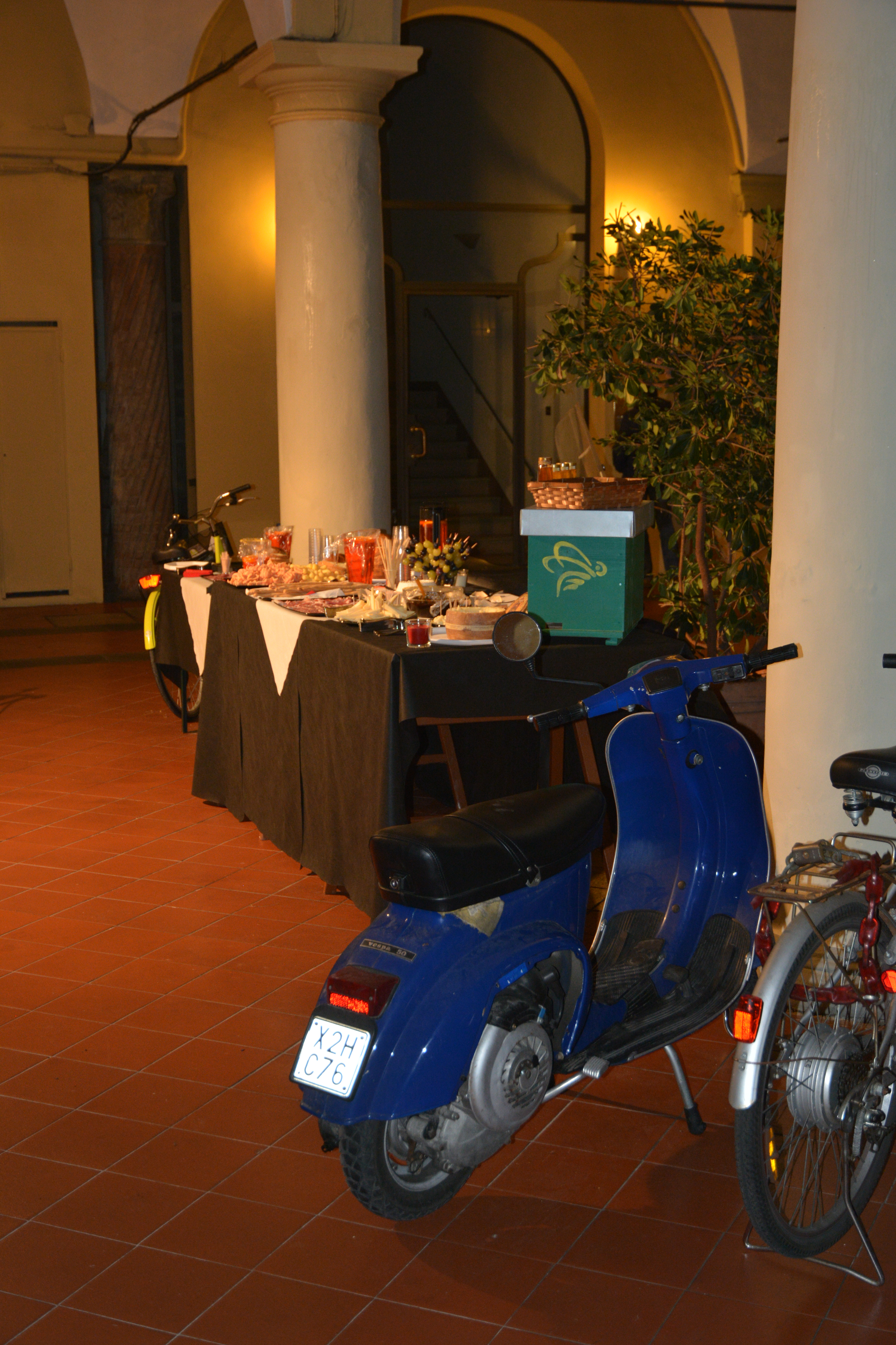 DSC 0238 (1)
